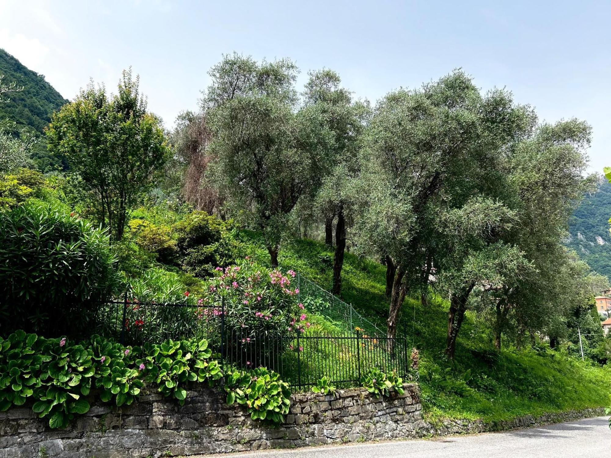 Lakeview Bellagio Apartment Limonta 외부 사진